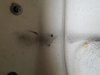 20190823_172431.jpg