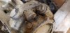 20191109_180219.jpg