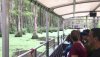 Swamp Tour 1_Moment-2.jpg