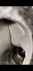 81FF57FB-60E3-4394-B0E0-57F7DA89122C.png