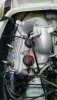 20190605_123948.jpeg