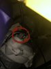 2AE890E5-DC0E-49EE-A5D7-3CC26FD04FB7.jpeg