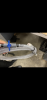 D832B8FD-E479-4A81-BB93-EDE6D533C4CD.png