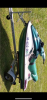 247B92FC-CF46-4CEF-8601-350776150486.png