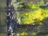 IMG_1540.jpg