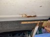 IMG_20200730_205524.jpg