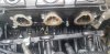 20200806_100548.jpg