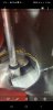 Screenshot_20200810-092610_Gallery.jpg