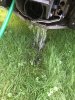 90F7943A-C2E4-44C4-82D8-8AFA3B918FEE.jpeg
