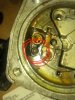 IMG_3680.jpeg