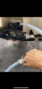 2430D31E-05CA-4A34-A790-147E19631364.png