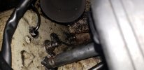 20201117_135411.jpg
