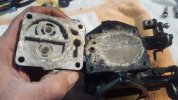 20201008_171542.jpg
