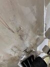 _nc_ohc=b8cHUPHMVaQAX_J95jj&_nc_ht=scontent-yyz1-1.jpg