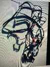 harness.jpg