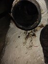 IMG_20220518_105751304.jpg