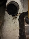 IMG_20220518_105755125.jpg