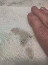 IMG_20220528_165320.jpg