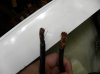 DSCN9451.jpg