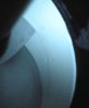 DSCN5495.jpg