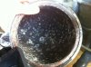 Pictues spring 2011 074.jpg