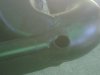 exhaust leak1.jpg