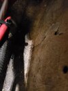 20221108_063624.jpg