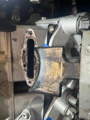 RAVE VALVE.jpg