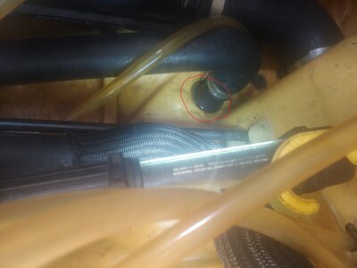 Riding plate photo.jpg