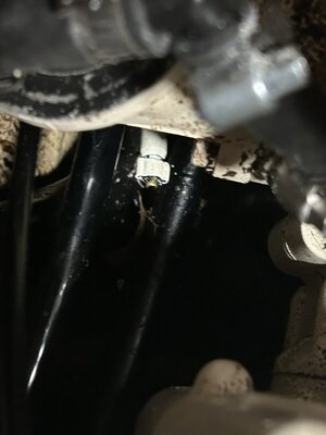 CAE352DE-7409-49EF-B426-45485513993C.jpeg