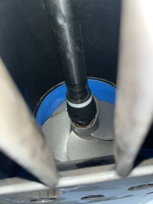 IMG_8207.jpeg