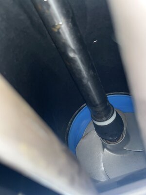 IMG_8206.jpeg