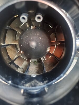 20230619_110623.jpg