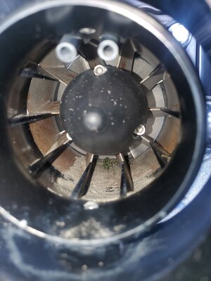 20230619_110544.jpg