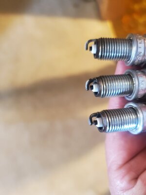 20230619_180821.jpg