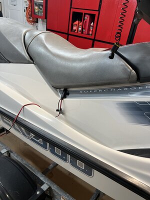 IMG_0102.jpeg