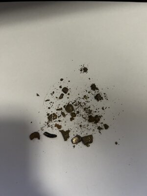 PumpMetalShavings.jpg