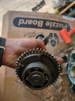 IMG_20250409_153831_532.jpg