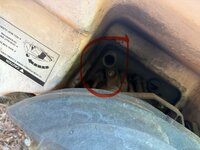 IMG_0133.jpeg