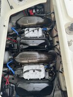 IMG_6606.jpeg