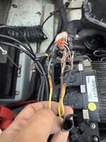 IMG_3416.jpeg