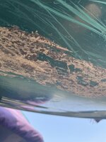 IMG_0061.jpeg