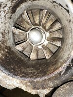IMG_5136.jpeg