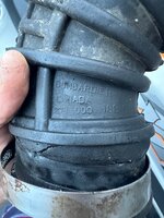 IMG_5137.jpeg