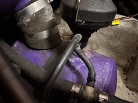 IMG_1781.jpeg