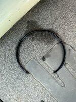 IMG_2532.jpeg