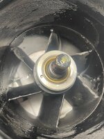 IMG_5393.jpeg
