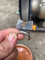 IMG_8788.jpeg
