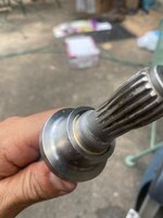 IMG_8791.jpeg