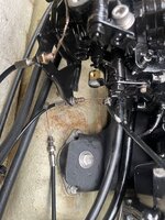 IMG_4066.jpeg